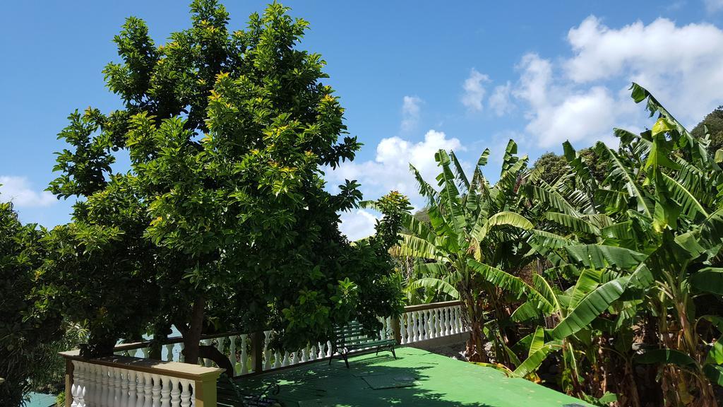 Hibiscus House Seychelles Self Catering Apartman Victoria Kültér fotó