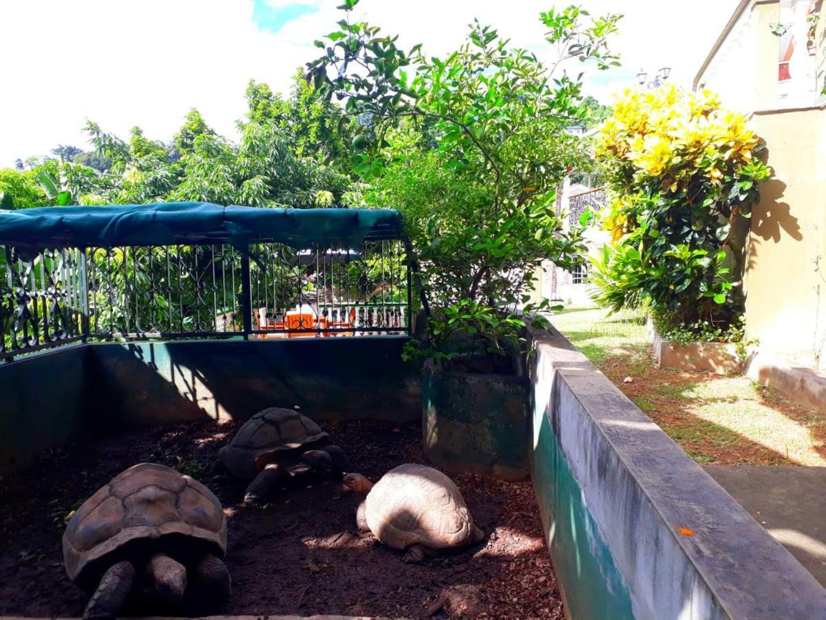 Hibiscus House Seychelles Self Catering Apartman Victoria Kültér fotó